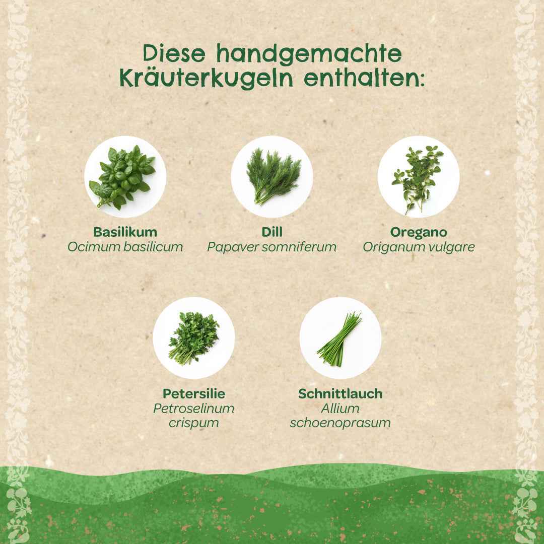 Kräuterkugeln – Saatkugeln mit Kräutern
